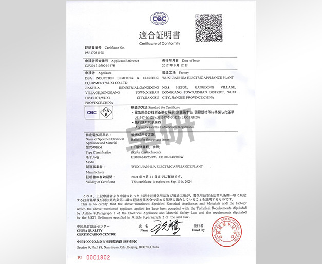 PSE250-300W